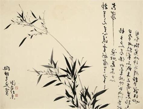 竹子 陰